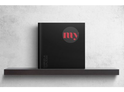 5 gabriela teplicka o knihe my a pribehoch ktore zvecnuje